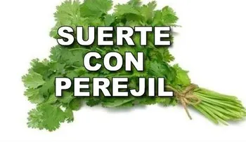 Perejil, canela y azúcar: Ritual para eliminar malas energías y tener más dinero