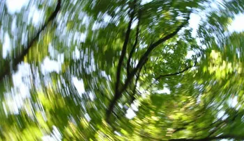 Ejercicios de terapia vestibular para los vértigos y mareos