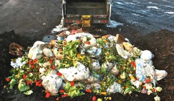 Con el 25 por ciento de la comida desperdiciada podría eliminarse el hambre en el planeta