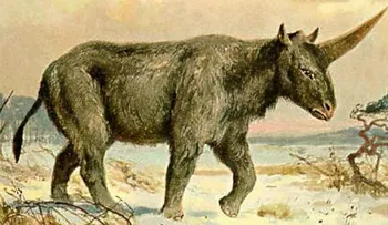 Hallazgo en Siberia: humanos y unicornios convivieron hace unos 30 mil años