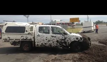 Un camión con tres toneladas de heces baña a un torpe conductor