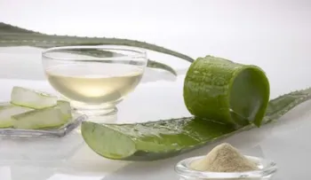 Estas son las innumerables propiedades de la Sábila
