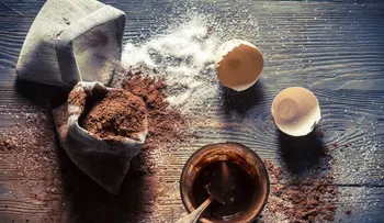Cacao: alimento de los dioses; para muchos es el sustituto perfecto del sexo