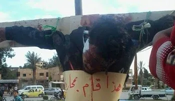 Rebeldes sirios crucifican a varias personas en la ciudad de Raqqa  