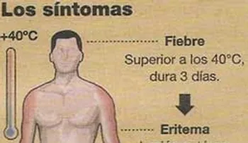 Salud Pública confirma que en el país hay Chikungunya 