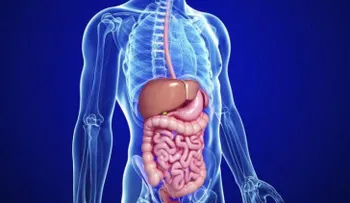 ¿Qué tan distinta puede ser la anatomía interna de dos personas?