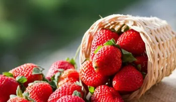 Exfoliante de fresa y azúcar para unos labios más saludables