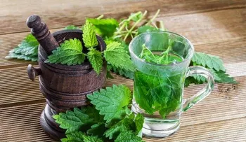 Esta maravillosa planta previene el cáncer, desinfla la próstata y reduce la diabates
