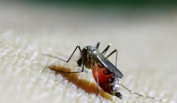 Cuba anuncia su primer caso de zika, le llegó de Venezuela