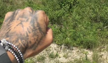 Se estrella avión de J Balvin