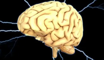  La glucosa es esencial para el funcionamiento del cerebro 