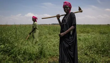 Por el aumento de la temperatura global, ahora hay más hambre en el mundo, dice un reporte de la ONU