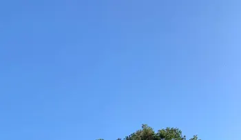 Calor intenso y polvo del Sahara: Indomet recomienda medidas de prevención