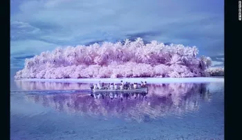 La Isla de los Daltónicos: una fotógrafa retrató cómo verían el mundo sus habitantes