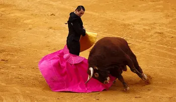¿Arte o crueldad?: dejan parapléjico a un toro en plena corrida