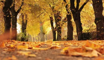 Otoño llega a República Dominicana con calor sofocante y aguaceros por vaguada