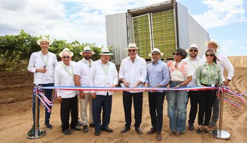 Abinader: RD hace historia con primer envío de uvas a EE. UU.