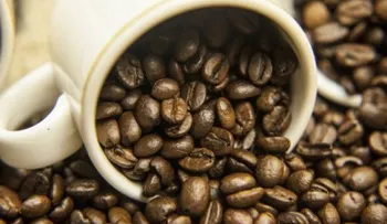 10 productos naturales para eliminar el aliento a cebolla y ajo
