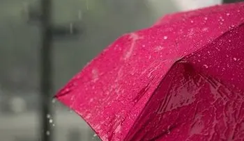 "Siempre que llueve, escampa: una lección de vida en tiempos difíciles"