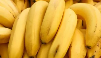 Las 6 mejores frutas quemagrasa