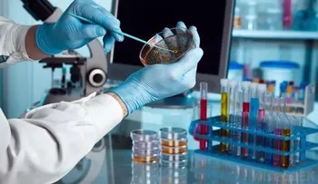  Investigadores mexicanos integran banco de células madre dentales 