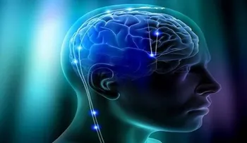 Descifrar el cerebro, el "reto científico" que implica a más 500 laboratorios