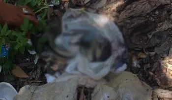 Encuentran feto a orillas del río Masacre