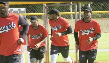 Leones comenzarán entrenamientos el 25 de septiembre