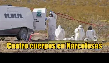 Hallan cuatro cuerpos en fosas clandestinas (VIDEO)