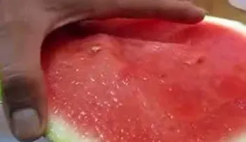 Estas son las interesantes propiedades y beneficios de la sandía (VIDEO) 