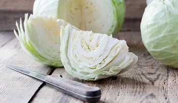 Beneficios del jugo de repollo o col para mejorar la salud intestinal