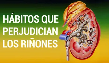 ¡Nosotros mismos estamos matando nuestros riñones! 10 hábitos que debes cambiar.