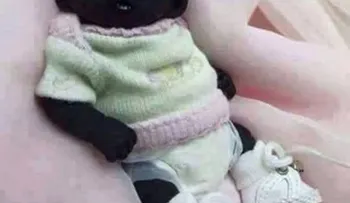 Ayuda a descifrar origen del bebé más negro del mundo (Video)