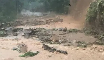 Al menos 36 muertos por las intensas lluvias registradas en Brasil