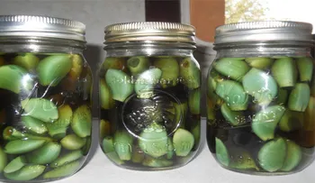 ¡Increíble! Maravilloso remedio que te salvará de un infarto, descubre cuál es su ingrediente principal