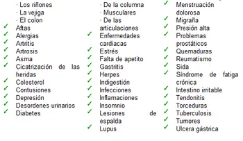 Noni - Un fruto con muchos beneficios