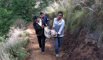 Matan 11 miembros de una sola familia; pueblo mexicano conmocionado 