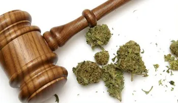 Lo que debes saber del fallo sobre la marihuana en México