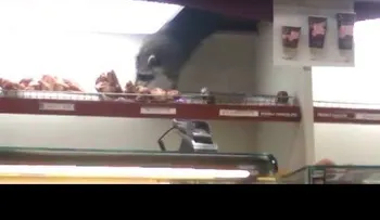 Un mapache roba un panecillo al estilo de Misión Imposible