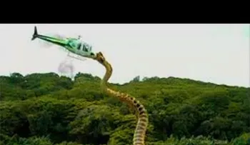 La Serpiente más grande del MUNDO encontrada en el Congo 100% real