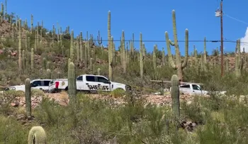 Hallan restos humanos cerca de Tucson sin vínculo aparente con el caso de Nancy Guthrie
