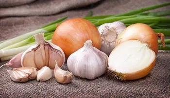 Restaura la pérdida de la audición con sólo dos ingredientes