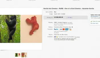 ¿100.000 dólares por un cheeto que se parece al gorila Harambe? Algo no está bien en el mundo?