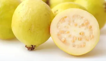 La guayaba: reduce presión arterial; alivia el estreñimiento, la tos y el resfriado: Otras propiedades 