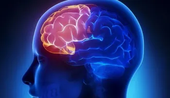 4 ejercicios que te evitan perder la claridad mental en la vejez 