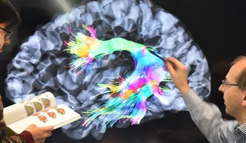 Seis técnicas clave para volverse más inteligente, según la ciencia