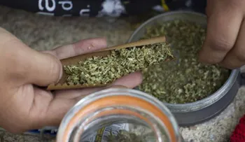 Un dominicano es arrestado en Providence con cinco kilos de marihuana