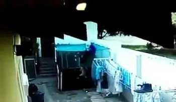 Perros atacan con furia a un presunto ladrón