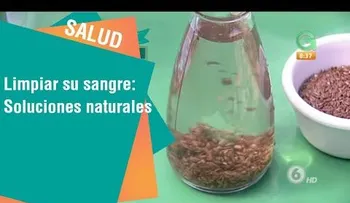 Reconocido médico revela la mejor solución para limpiar la sangre sucia de tu cuerpo