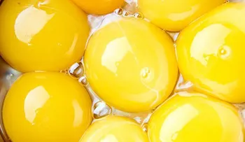 10 alimentos que nunca debes consumir si ya han caducado